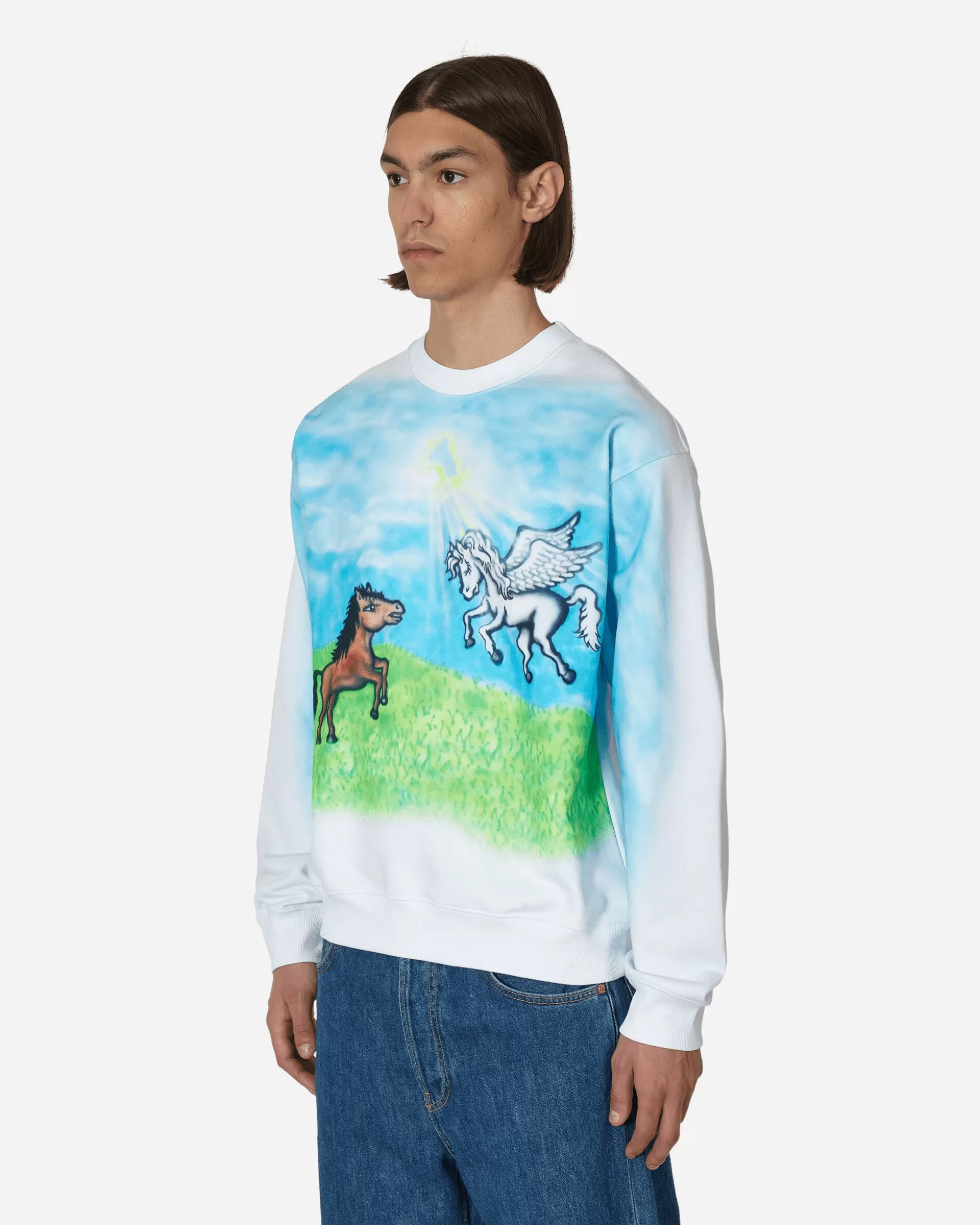 Sky High Farm Ally Bo Printed Crewneck Sweatshirt White Store