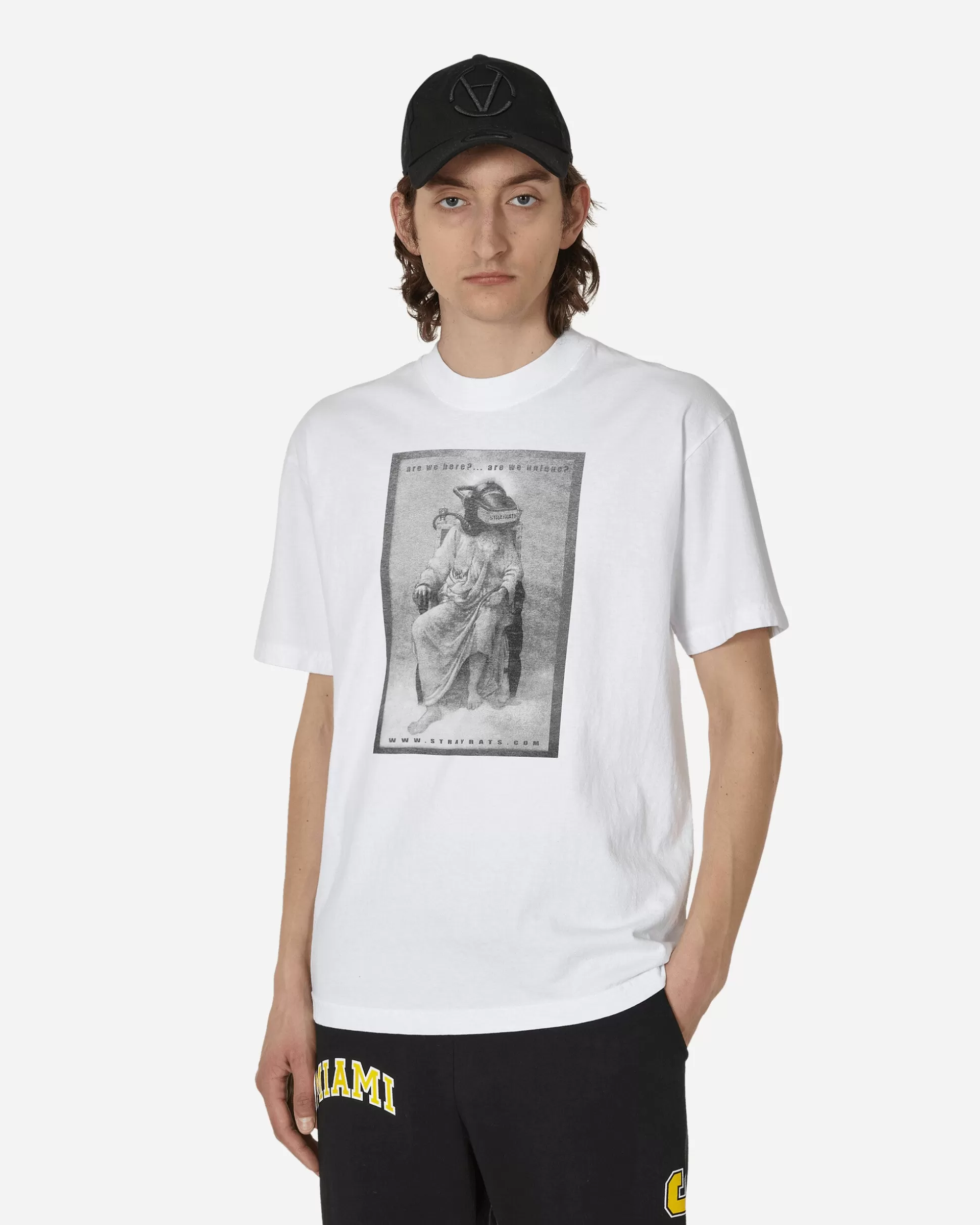 Stray Rats Are We Here T-Shirt White Flash Sale