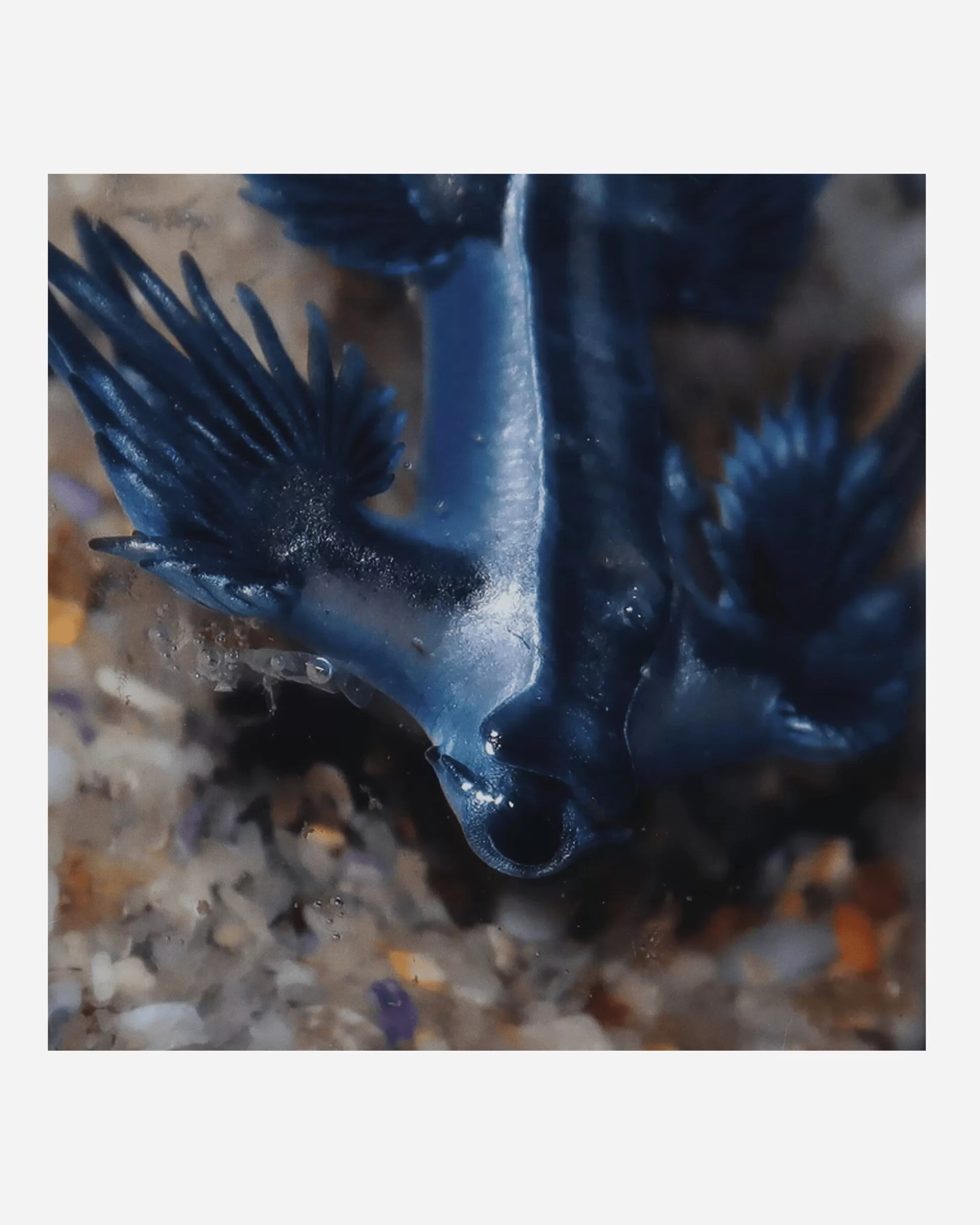 Public Possession Four Tracks Vinyl Online