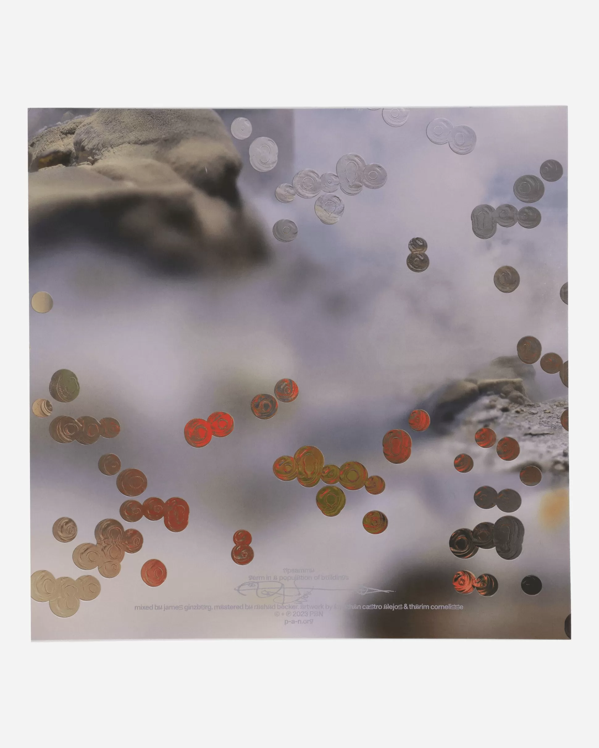 Public Possession Germ In A Population Of Buildings Vinyl Discount