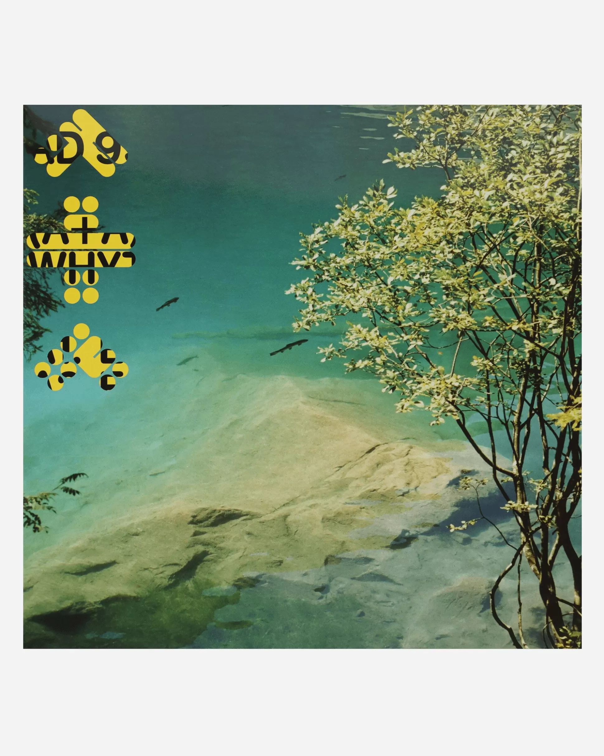 Public Possession 060 Vinyl Cheap